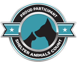 Shelter Animals Count logo