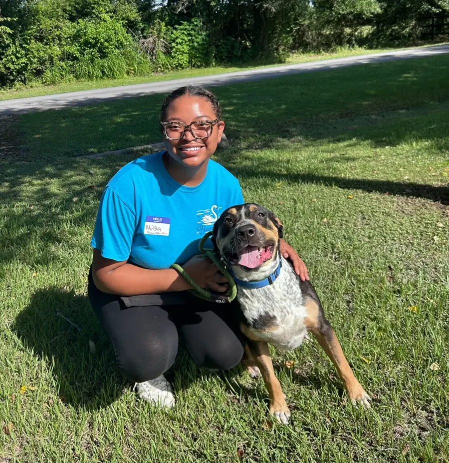 Volunteer and dog, on the grass 