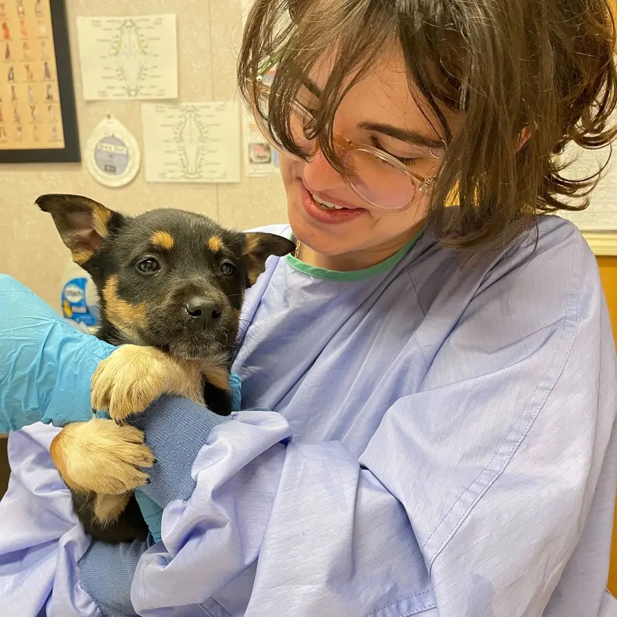 Volunteer holding a puppy