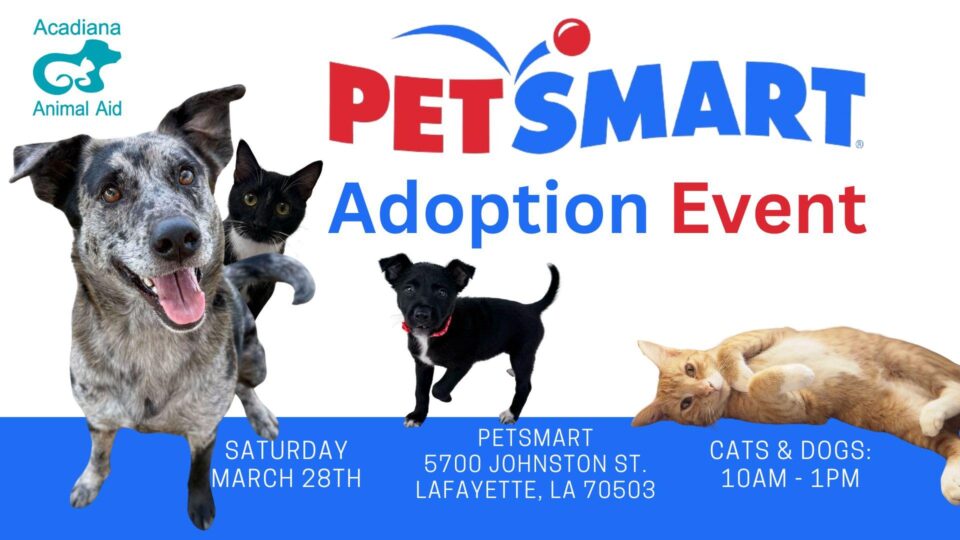 PetSmart Adoption Event